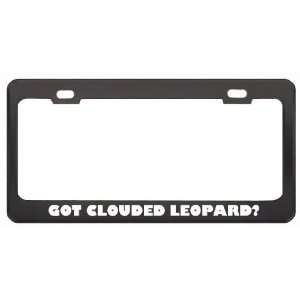 Got Clouded Leopard? Animals Pets Black Metal License Plate Frame 