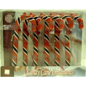 Oregon State Beavers NCAA Candy Cane Ornament Set of 6  