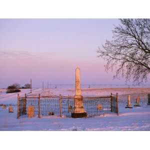  Pink Light on a Rural Cemetery, Snow, and a Bare Tree 