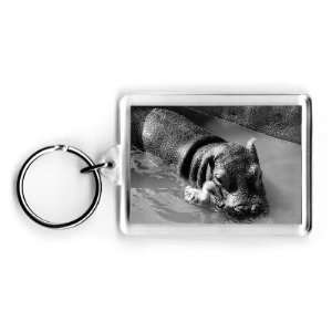  Tommy the gosling and Esme the hippo   Acrylic Keyring 