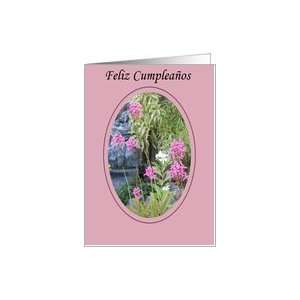 Feliz cumpleanos jardin (spanish) Card