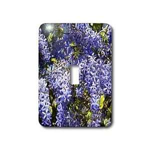 Florene Flowers   Closeup Purple Flower Tree   Light Switch Covers 