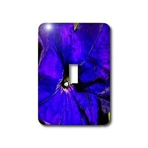  Florene Flowers   Arent I Purple Too   Light Switch Covers 