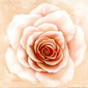  Beautiful Rose By Arkadiusz Warminski. Highest Quality Art 