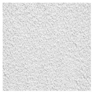  Armstrong 24 x 24 White Tundra Ceiling Tiles (12) 304A 