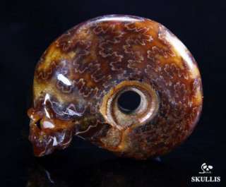 Ammonite Fossil Carved Crystal Skull Pendant, Healing  