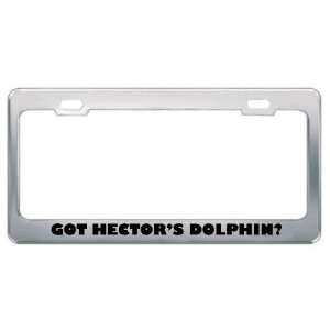 Got HectorS Dolphin? Animals Pets Metal License Plate Frame Holder 