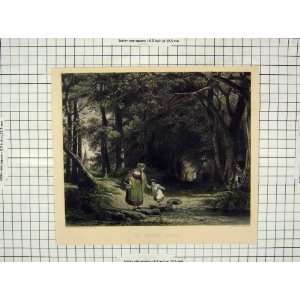  Witherington Brandard Engraving Stepping Stones Forest 