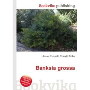  Banksia grossa Ronald Cohn Jesse Russell Books