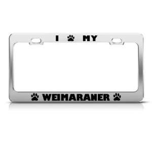  Weimaraner Dog Dogs Chrome Metal license plate frame Tag 