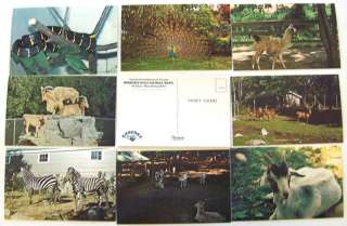 T1403 HUDSON, N.H. POSTCARD LOT, 8 BENSONS WILD ANIMAL FARM  