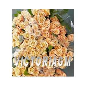 250 Fresh Cut Roses in Wholesale Price   Many Color to 