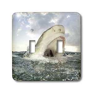   Atlantic Ocean   Light Switch Covers   double toggle switch Home