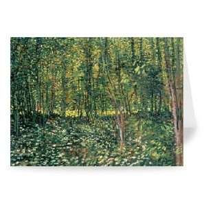  Trees and Undergrowth, 1887 (oil on canvas)    Greeting 
