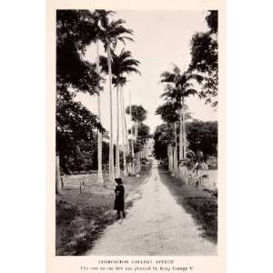  1937 Halftone Print Codrington College Avenue Tree lined Road 