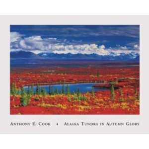    Alaska Tundra In Autumn Glory (Canv)    Print