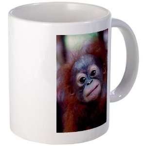  Baby Orangutan Look at Me Coffee Art Mug by  