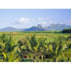  Mauritius, Scenic in the North West Region of the Island 