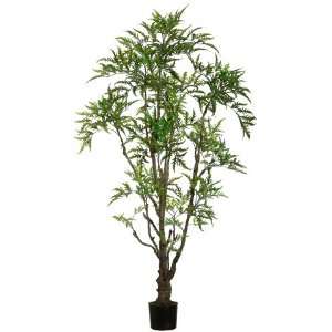 Outdoor Ming Aralia Tree W/842 Lvs. in Plastic Pot Green (Pack of 2 