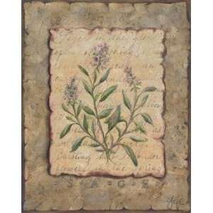  Vintage Herbs Sage artist Constance Lael 9x11