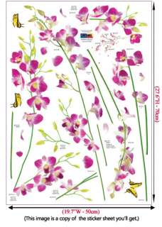 Tropical Orchid Flower Art Wall STICKER Removable Decal  