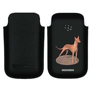  Pharaoh Hound on BlackBerry Leather Pocket Case  