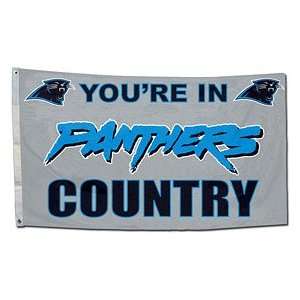   Sports Carolina Panthers 3x5 Country Design Flag