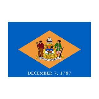  Delaware State Flag Nylon 5 ft. x 8 ft.
