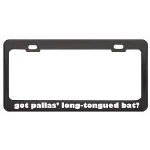 Got Pallas Long Tongued Bat? Animals Pets Black Metal License Plate 