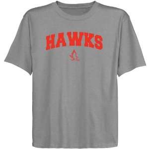 NCAA Hartford Hawks Youth Ash Logo Arch T shirt  Sports 