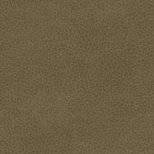  Bexar Leather Moss by Kravet Design Fabric