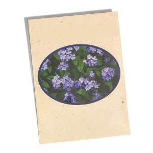  Promotional Seed Packet Forget Me Nots (500)   Customized 