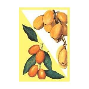  Kumquat 12x18 Giclee on canvas