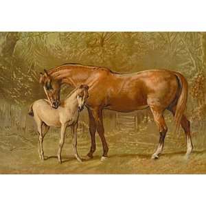  Thoroughbred Mare and Foal 20x30 Poster Paper