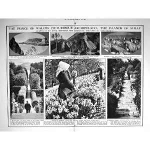  1921 BISKRA PATROL ALGERIA PRINCE WALES ARCHIPELAGO SCILLY 
