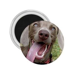  Weimaraner 10 2.25in Magnet R0635 