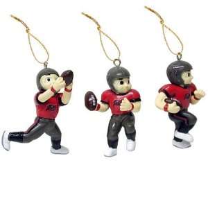  Tampa Bay Buccaneers Football Player Ornaments Sports 