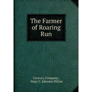   Run Mary C. Johnson Dillon Century Company   Books