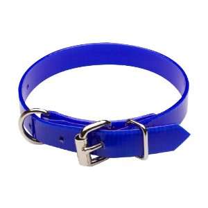  Premier Nite Lite Day Glo Collar in Blue, D Ring in Front 