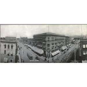  Panoramic Reprint of Boise, Idaho