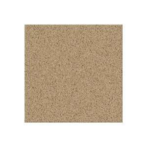   Industries 9640518 Cider Horizon Natures Palette Rust Carpet Flooring