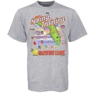  Spring Training 2009 Youth Ash Vacation Map T shirt