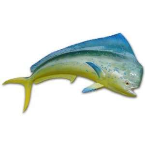    60 Mahi Half Mount Fish Replica   Taxidermy