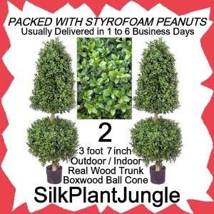  Outdoor Indoor 3 foot 7 inch Boxwood Ball Cone Topiary Trees 