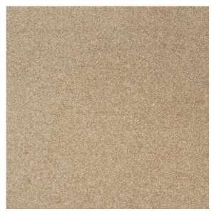  Milliken 19.7 Texture Carpet Tile 545029512900