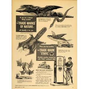  1949 Ad Ethyl Gas Bat Flying Snake Squirrel Fish Frog 