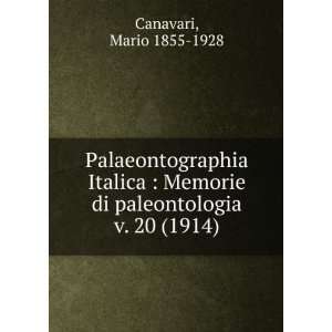   di paleontologia. v. 20 (1914) Mario 1855 1928 Canavari Books