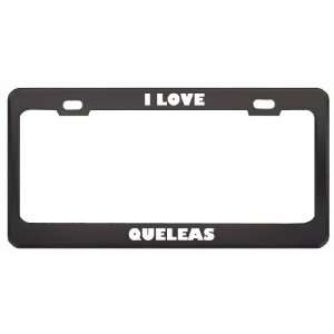   Love Queleas Animals Metal License Plate Frame Tag Holder Automotive