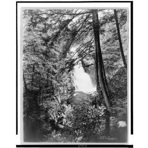  Bushkill Falls, Pennsylvania, Pa.1918