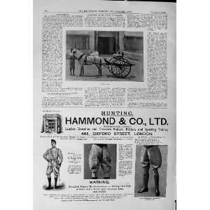   Little Chang Pony Trap Burmah Advertisement Hammond Hunting Leggings
